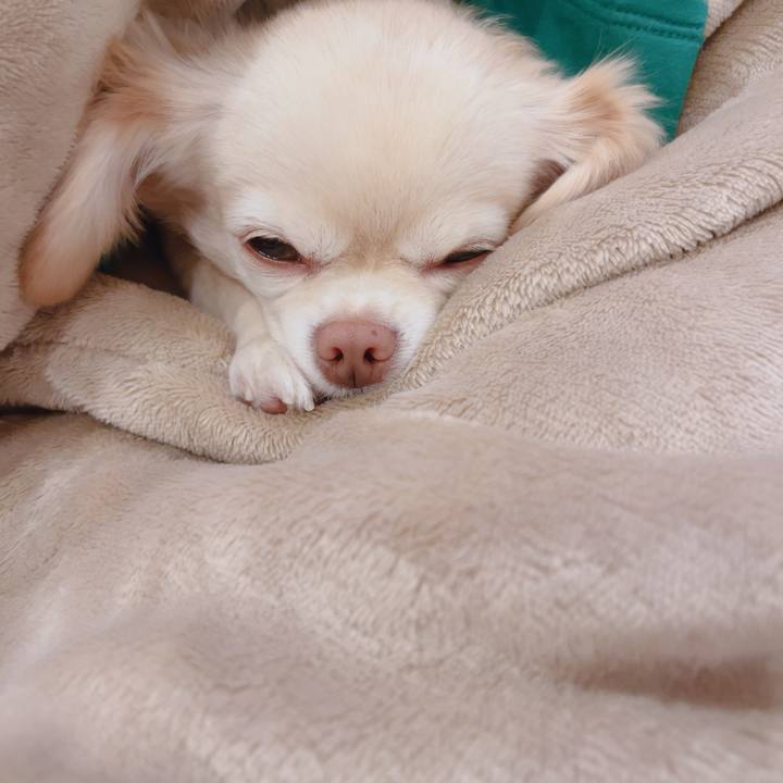 E748af2b add0 40e7 ae6d 43bce1b61e67 1761036759263