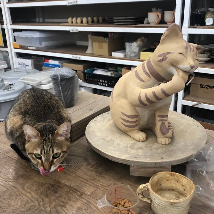 E748c7e0 8673 4726 90ab 4d617e25fa3b 1645327264023