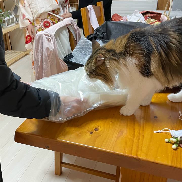 E748e25c d0ca 4b2e 8581 c36a9a121a19 1673166099874