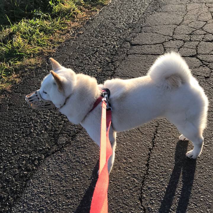 E748f25f ef6a 4a43 9365 c134ce858cc9 1542450904951