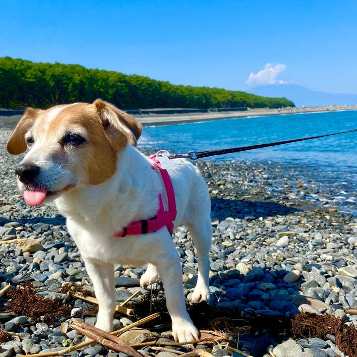 E748fa18 dd60 44b4 980a 1f020c5a875e 1714887724386