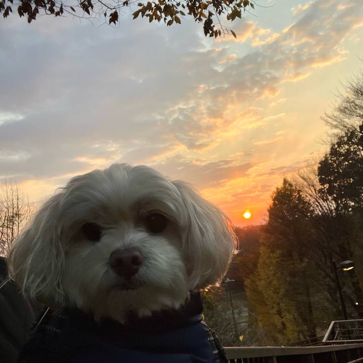 E74901a2 e534 4d90 b226 bd64d66672b5 1764749929130