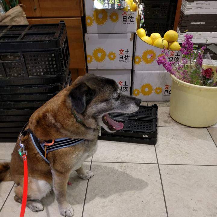 E74908d8 1274 4d09 96e3 82040f595bb0 1522926671609