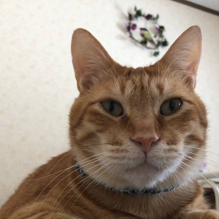 E7493703 f4ef 45ca 81c0 a87c8ce5bd29 1576375192749