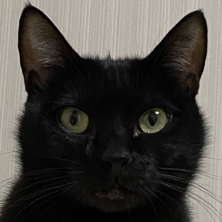 E7495471 c440 41c7 89ca 7c8983ba4b4c 1671019165214