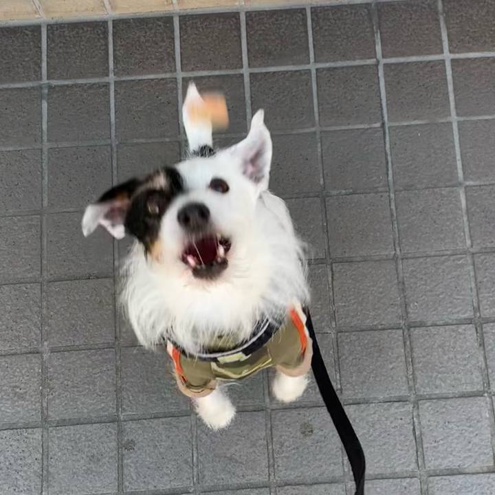 E7497573 a8d4 4abf 9136 bbfb7cc91694 1710118410208