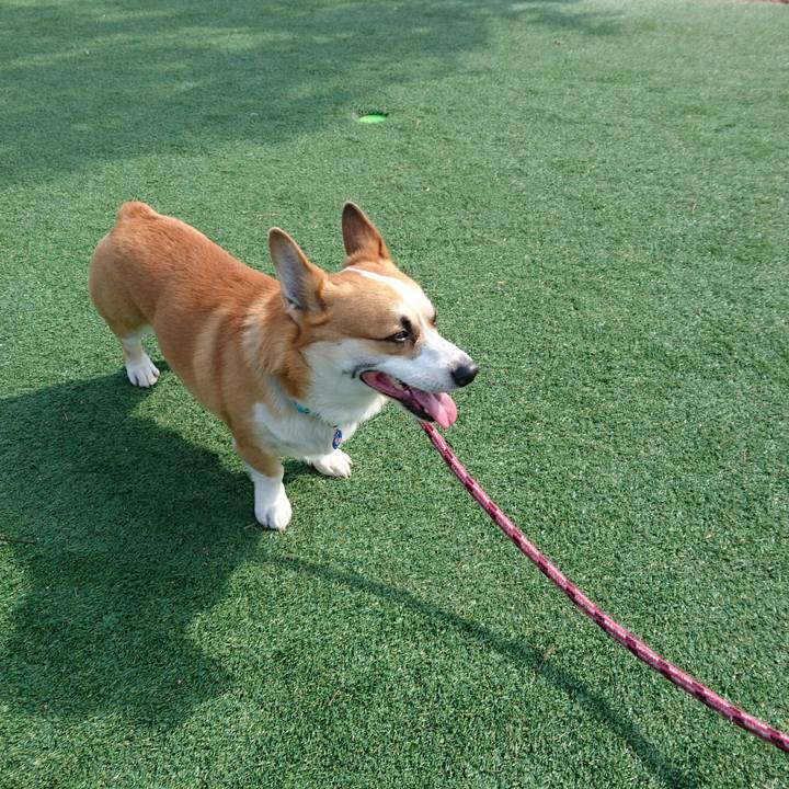 E74987c5 8ab2 4d71 91e5 590f82a2d04a 1613877751839