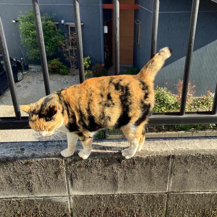 E749983c 31c7 44a3 bb50 9182e76204e6 1764108394388