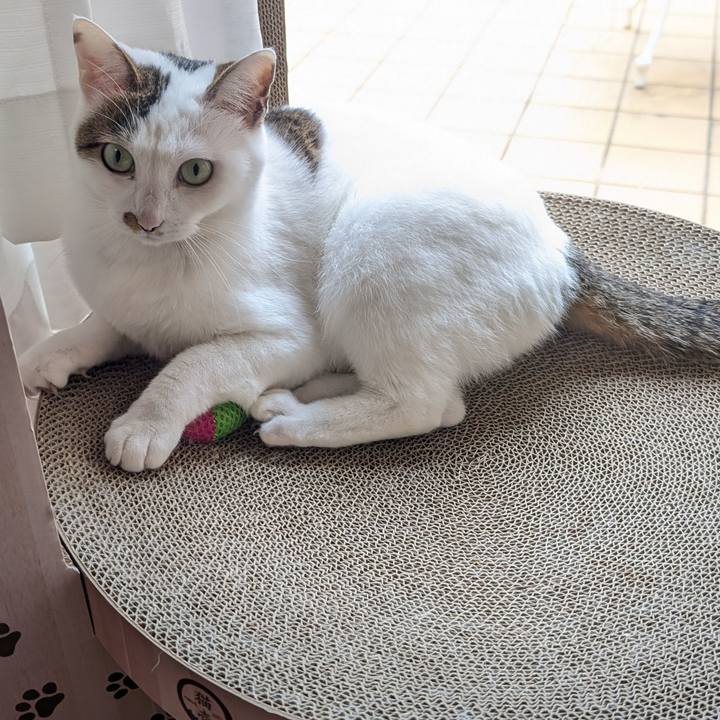 E749ae8d d249 4e34 a8f2 b04fd272c296 1728187432758