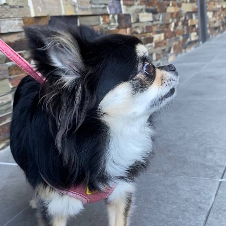 E749e6cc d00f 4363 85c1 188399b47243 1628628238347