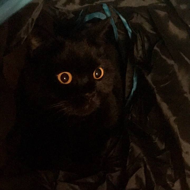 E749feba 7ddf 4230 bb5b dd21172cf3ca 1570020354938