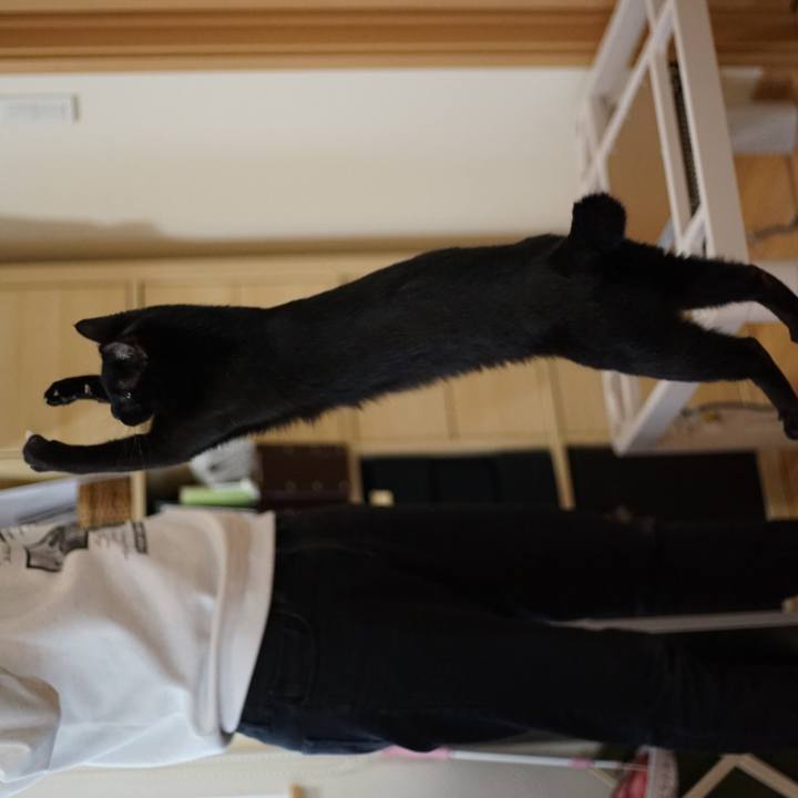 E74a4af3 2424 492a a090 e465ea77d64f 1523316714922