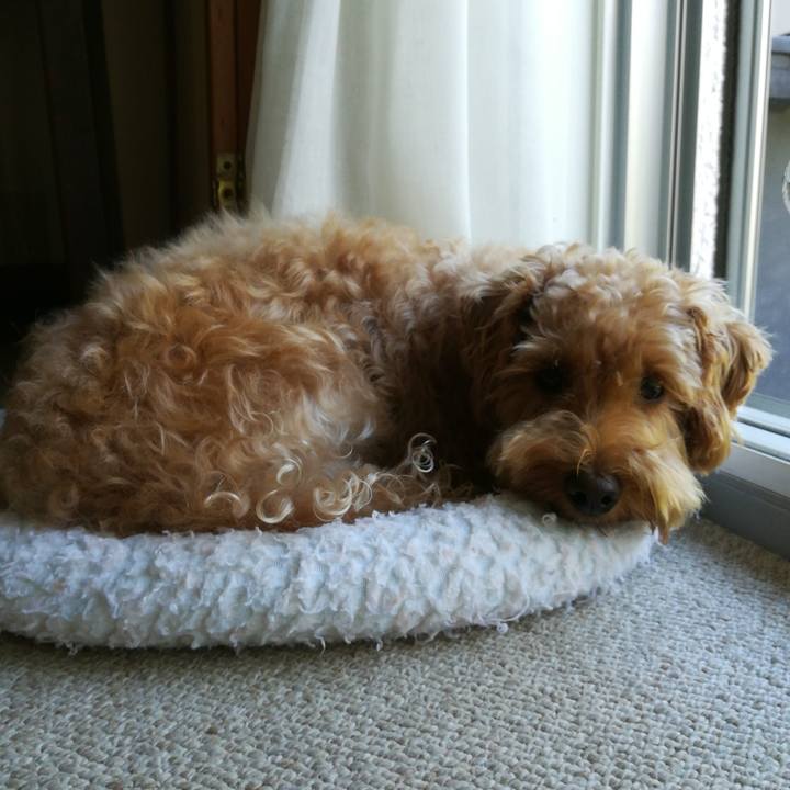 E74a530c 4b75 4e66 a35a d181c1600547 1536619001862