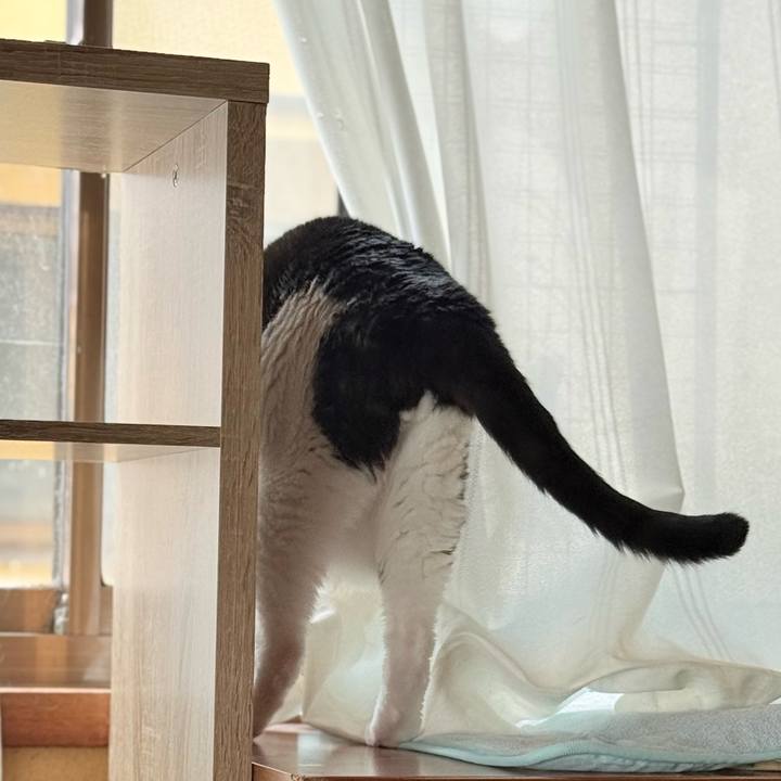 E74a6beb 0c3d 4f8e 8980 cee729f9818d 1760923635385