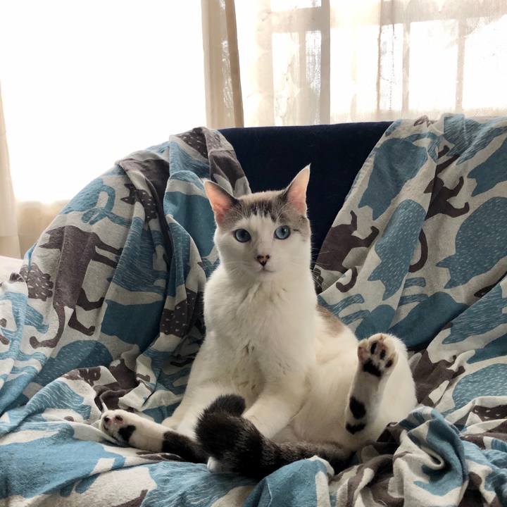 E74a6e72 d9e9 478c b934 518a42768abb 1602996286335