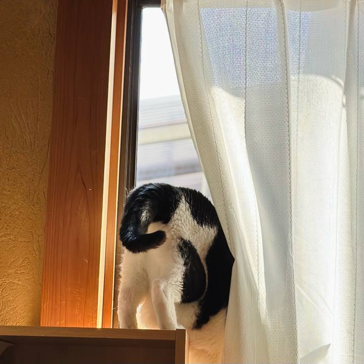 E74a9083 c834 42e7 9ab6 e538681c8f4e 1675043804017