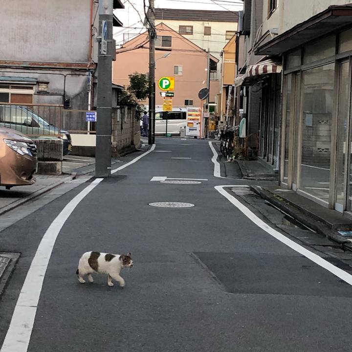 E74a9a52 058e 45e1 bfd6 dfa229c07a26 1551460383172