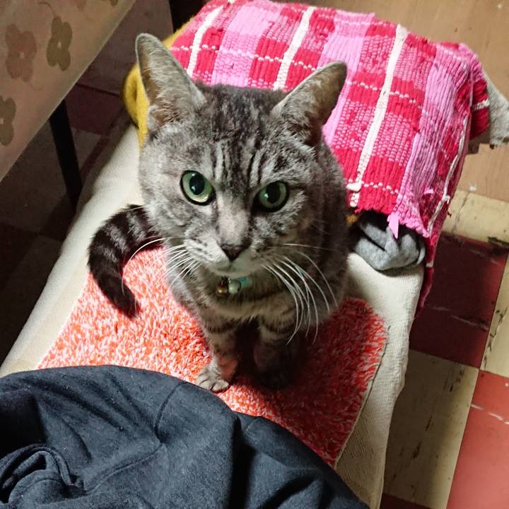 E74adff8 f6a5 4fe9 aa8d a1d83b9e18c3 1551932095660