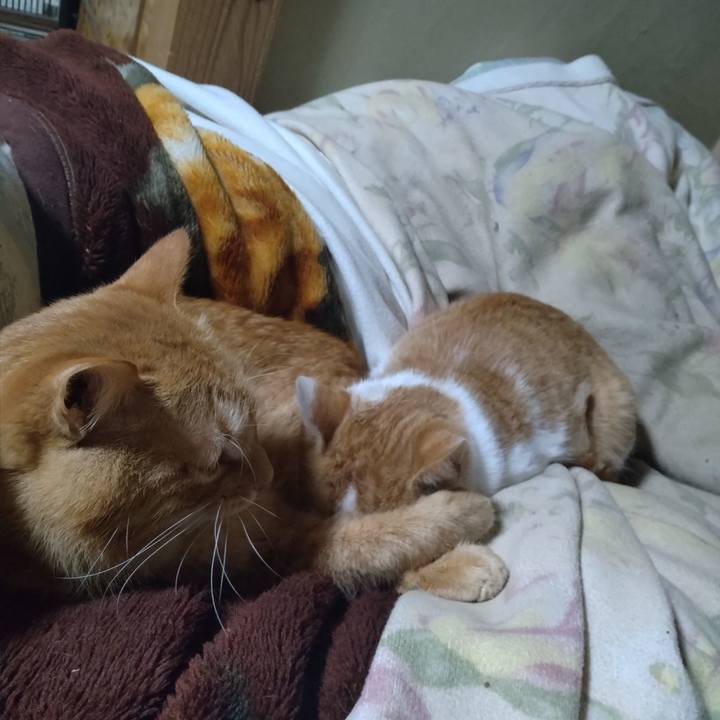 E74b0fd9 bdf9 4a81 8458 97b672e34e89 1741267500454