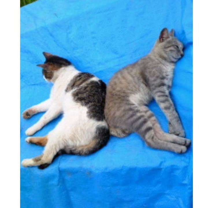 E74b18ef 5315 4f0a 8fc3 f69b2a8c25cb 1550813249169