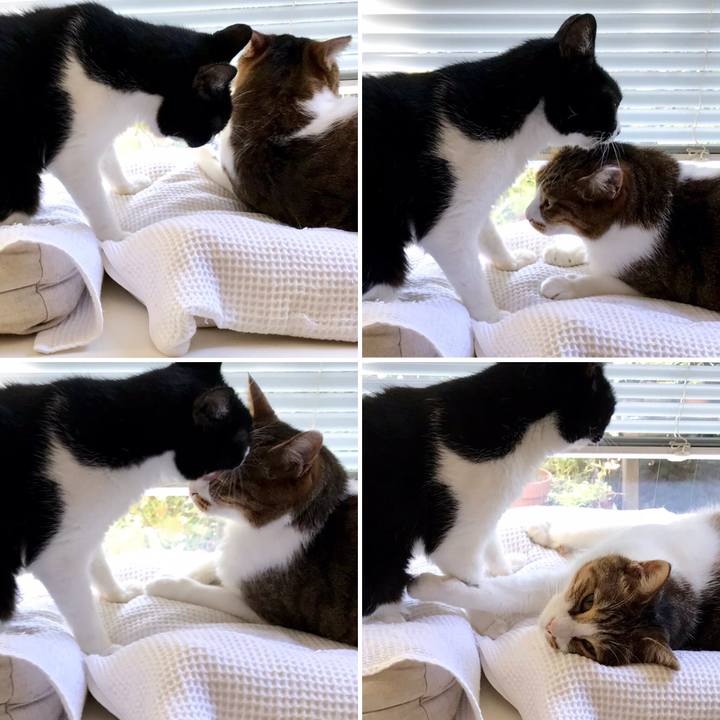 E74b3805 67ad 493c 9427 773f8d42131a 1569462540775