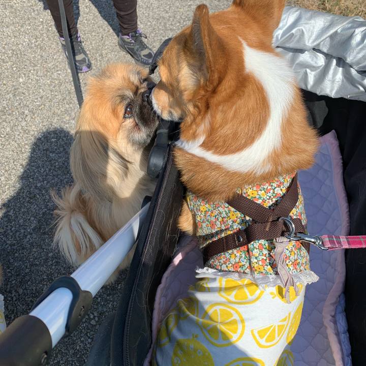 E74b6562 75e6 4200 8bca 5d91ed79be4c 1614855874606