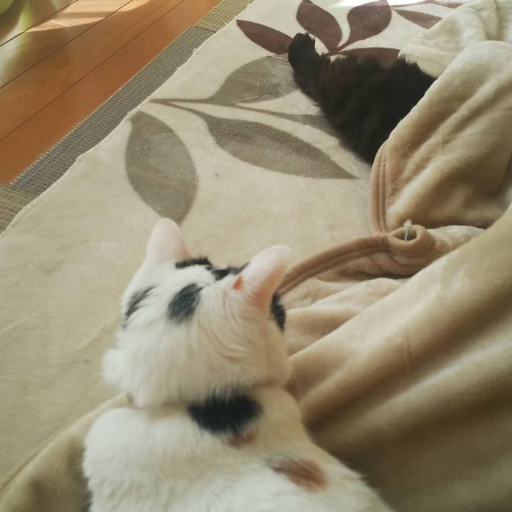 E74b95a3 0a97 4f5e 8cb6 14d2431e5136 1573949945738