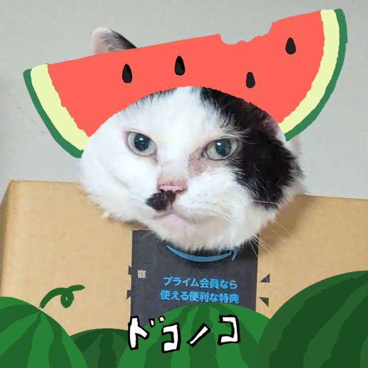 E74bc8c5 fc87 4255 a23c 8a8b26ee5561 1720958097940