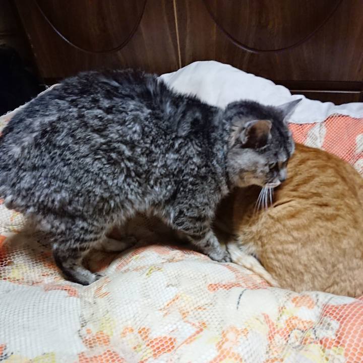 E74c00a9 9e68 4adf a756 3190484e8ad5 1577797247744