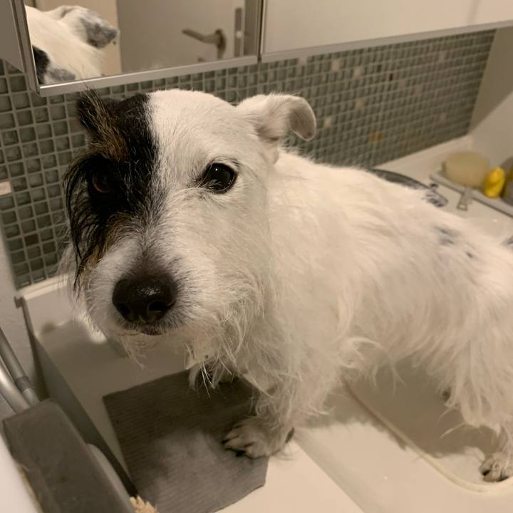 E74c56db a1f2 4fc4 9766 ef5166a21d10 1677070937376