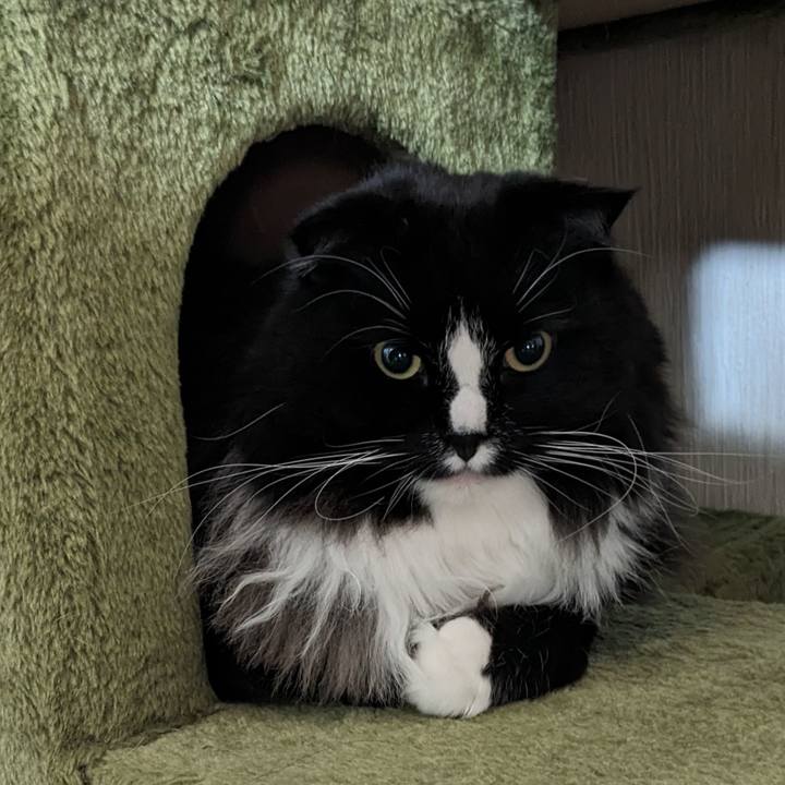 E74cc71d 319b 4594 96f3 f47a483e9408 1707605781258