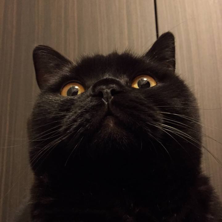 E74ce313 4d96 49a1 a9f5 5318729684cf 1571924920285