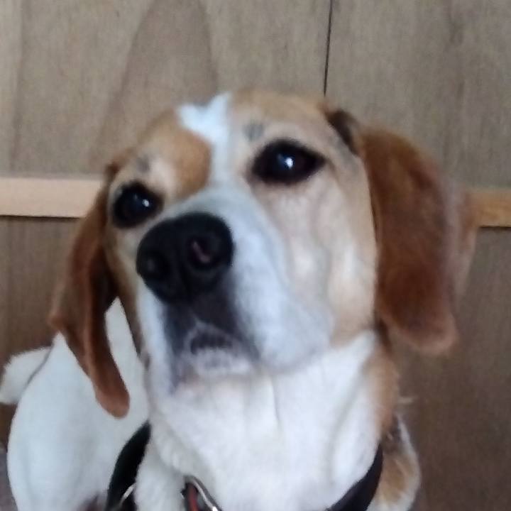 E74d058c f4e0 4c15 998d 30305785e753 1688386445798