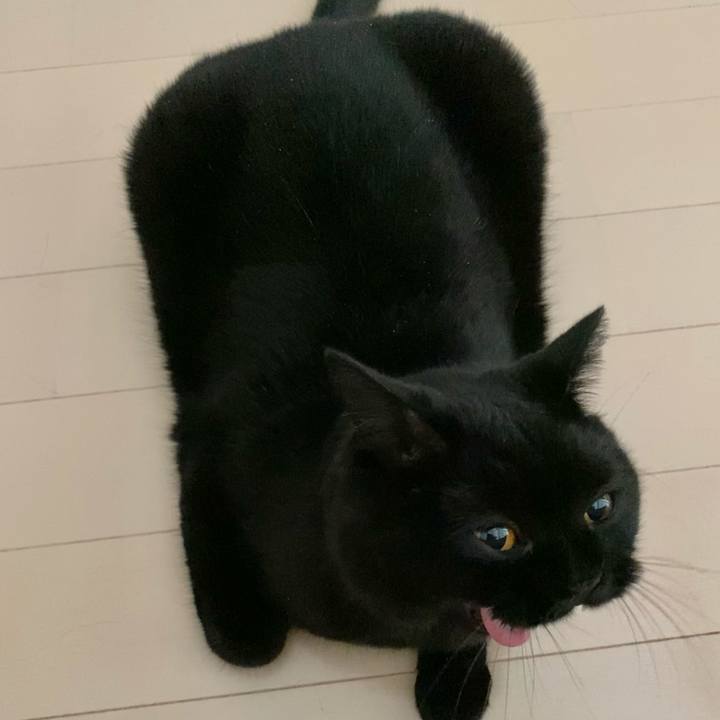 E74d34b0 75d1 418e 8c11 a47a32b52473 1631053114787