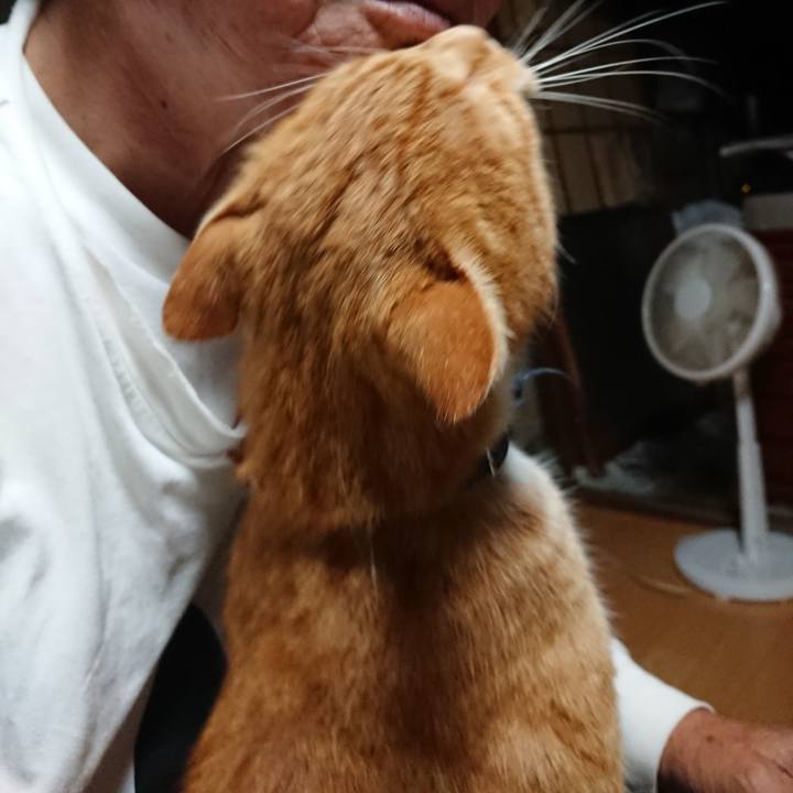 E74d6db2 023d 4dba 9b2d 4a0f9e3a09ce 1600721178995