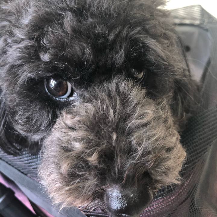 E74d6e8c 9317 47b0 958a 6e1874fe17ad 1596157019004