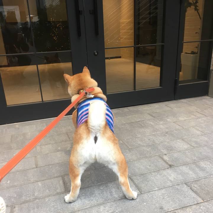 E74d84ba f9e1 4c58 9198 ca502bd748ae 1547265832962