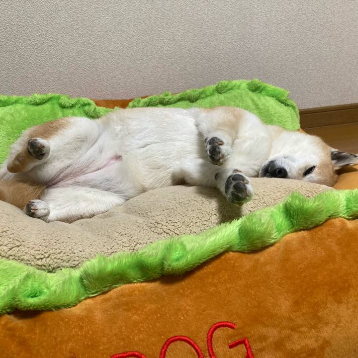 E74d9405 11d5 4099 bcd5 a5a163d997c2 1622760069105