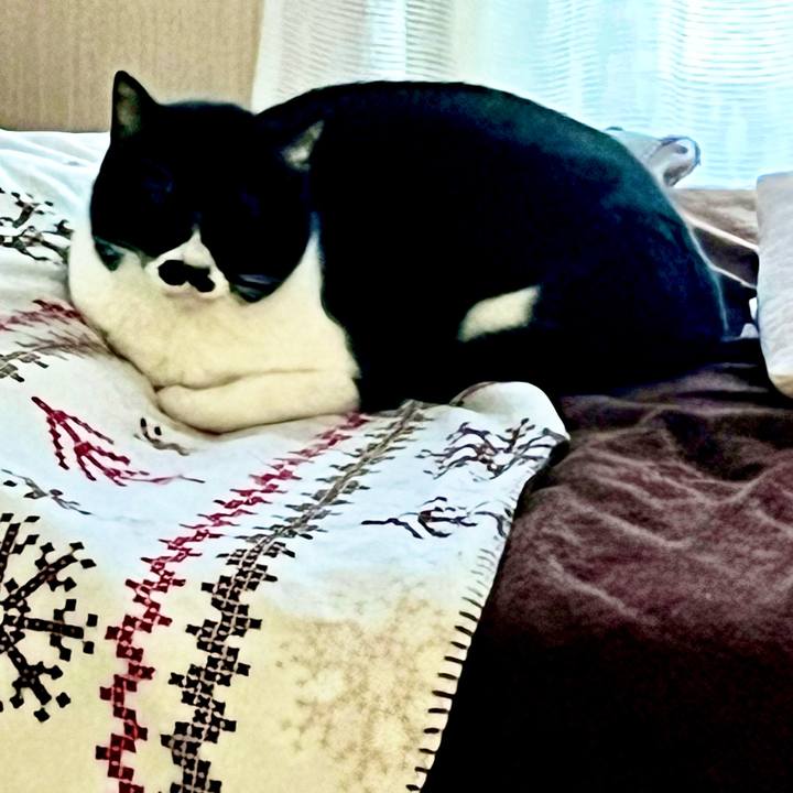 E74db08d 3a71 4b46 b6f6 7c21adce8a97 1707549801475