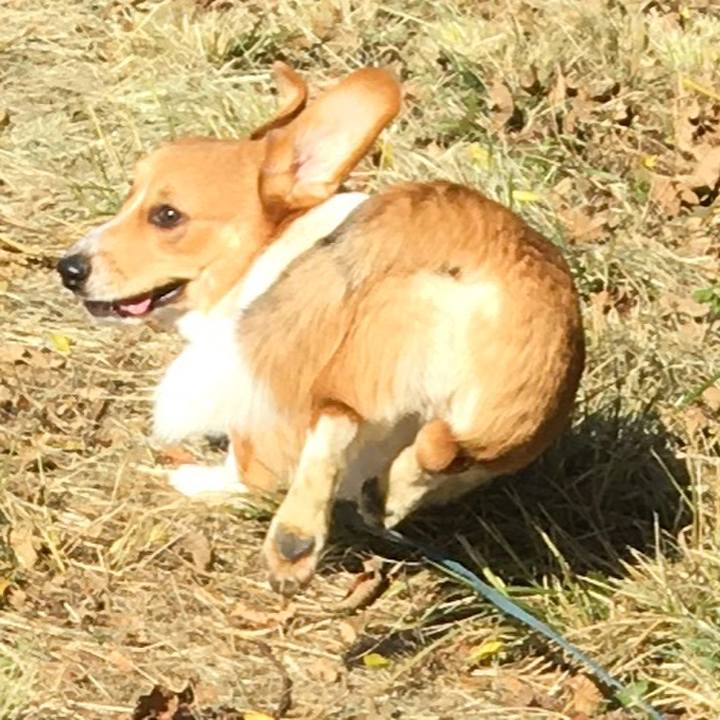 E74de3dc 5bbf 49a4 8dff 8e5942e45e7c 1605068755407