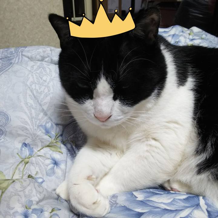 E74dfbaa 3e0a 47d3 afba f5da827fc18d 1553086955150