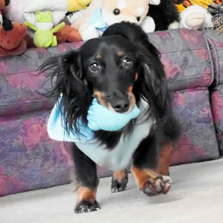 E74e1efd 4f73 4b0d bd39 47004cfc5d07 1541474440704