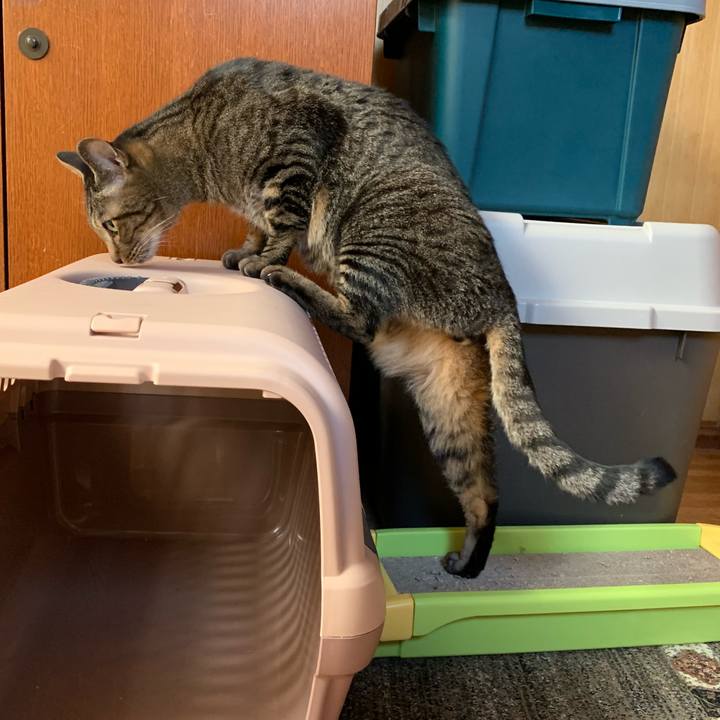 E74e277a 78f3 4be4 8546 96868efd6d58 1542330724899