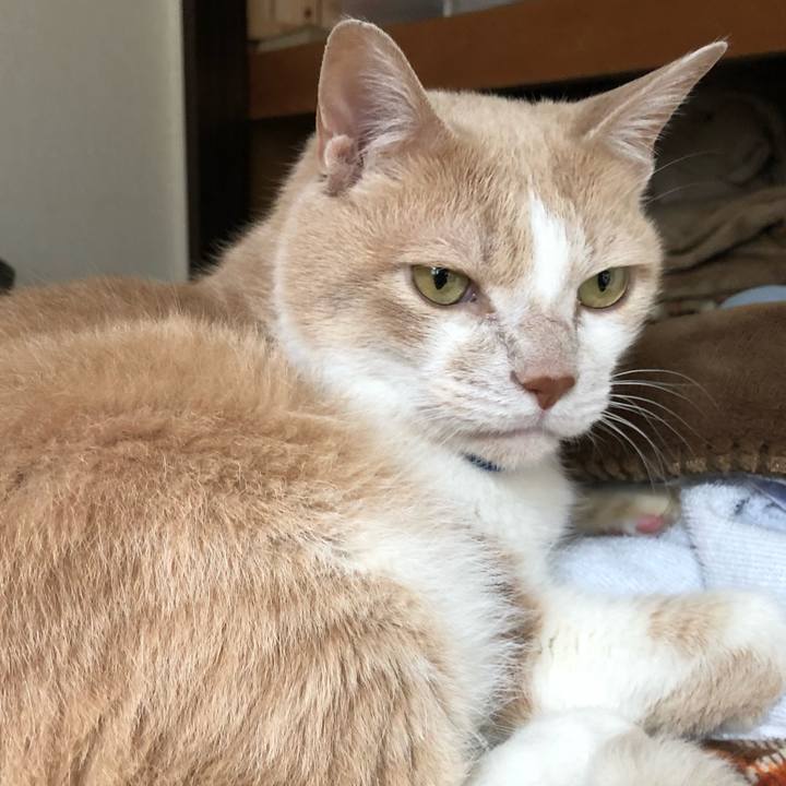 E74e3587 f2b6 4825 ae01 c729c41ef2e9 1523668920512