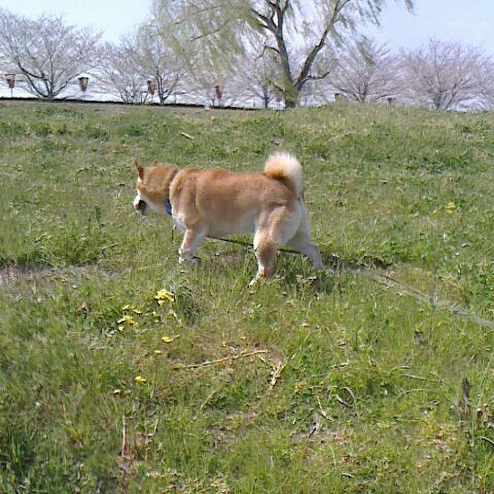 E74ea349 5416 46a9 a2b2 d290f059b4bb 1554356911491