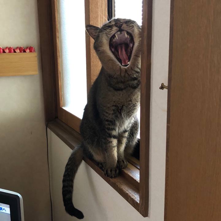 E74eb103 c5e6 40e8 a388 109615fe4829 1592962823108