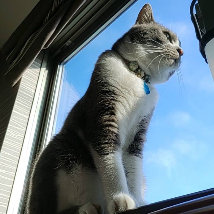 E74ebc6f 2b45 451d 912a c4da11f508c9 1719887821617