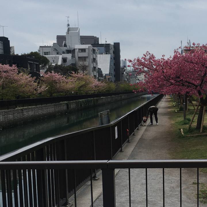 E74ec831 540e 497d bbf2 5a2f056d2049 1583562962212