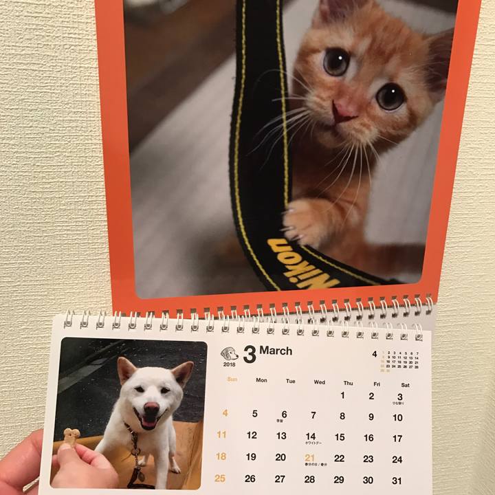 E74f6fcb 5f1a 4552 b19e 1caa1638270d 1519865179799