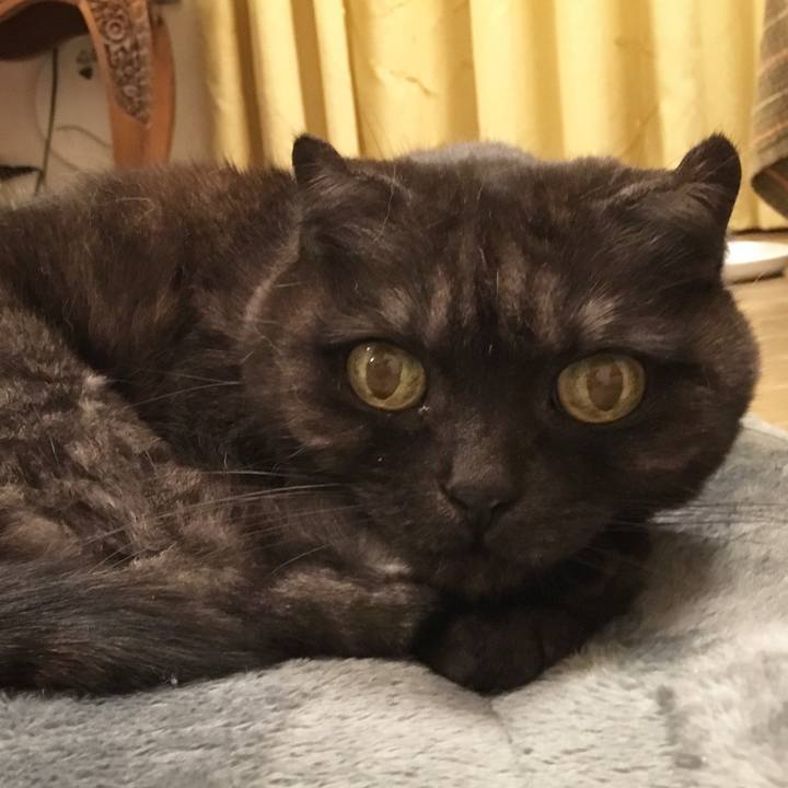 E74f7f62 8771 4be4 a405 bb399a4e380b 1551113578764